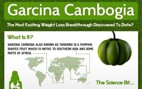 Garcinia Cambogia Infographic