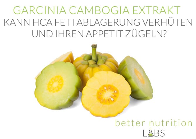 Garcinia Cambogia Extrakt - Kann HCA Fettablagerung verhüten und Ihren Appetit zügeln?