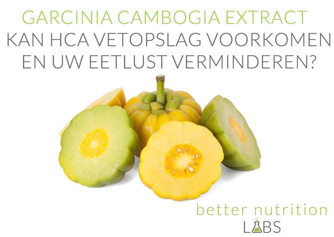 Garcinia Cambogia extract – Kan HCA vetopslag voorkomen en uw eetlust verminderen?