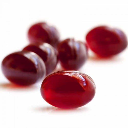 Antarctic Krill Oil