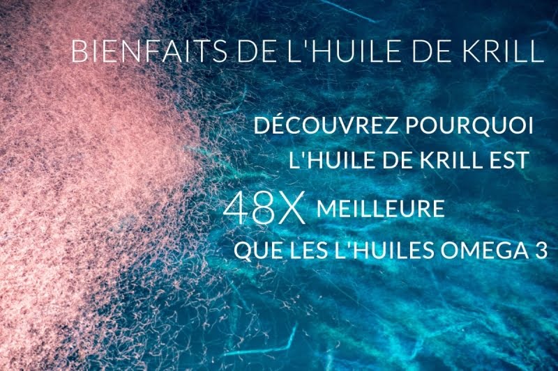 Bienfaits de l'Huile de Krill Pourquoi le Krill estil 48X meilleur — free download
