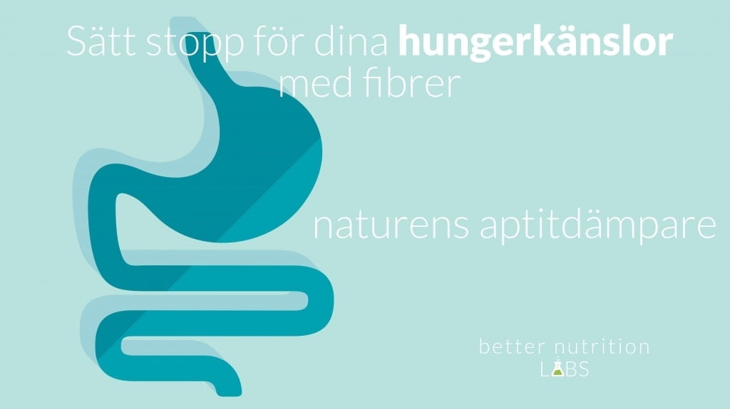 Sätt stopp för dina hungerkänslor med fibrer -naturens aptitdämpare